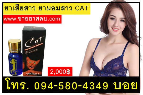 ยาเสียสาวcat