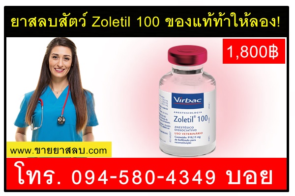 ยาสลบสัตว์ Zoletil 100 ของแท้ท้าให้ลอง!