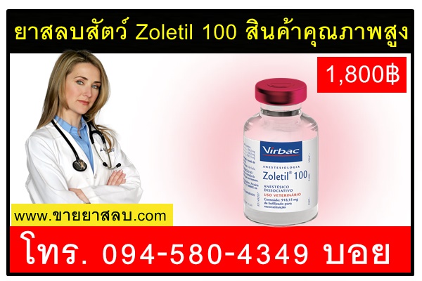 ยาสลบสัตว์ Zoletil 100 สินค้าคุณภาพสูง